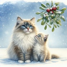 Single Luxury Ragdoll Cat Christmas Card Dog Gift XMP