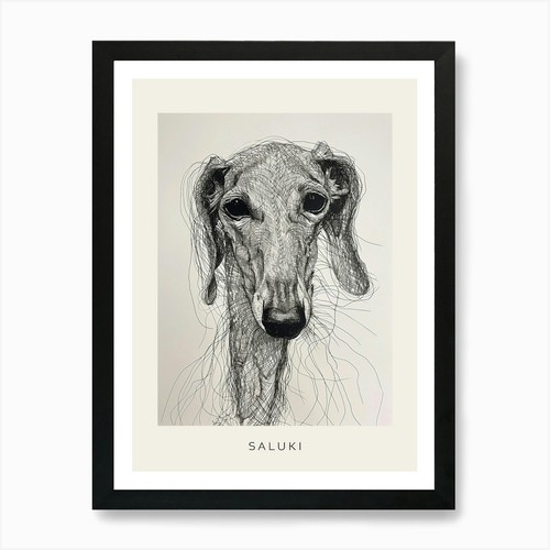 Saluki dog line sketch - line, 2