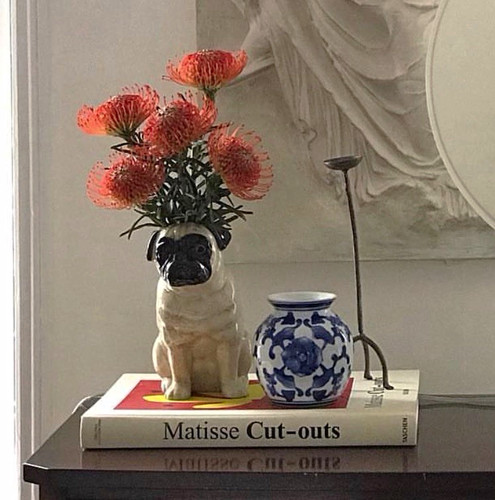 Quail ceramics pug - pug, ceramic