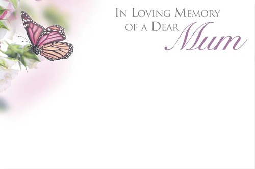 Shredastic loving memory - ,