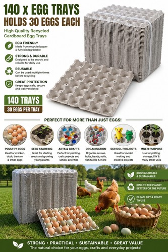 Cardbord egg trays - egg, 140