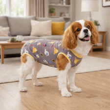 Cartoon Dog Recovery Suit