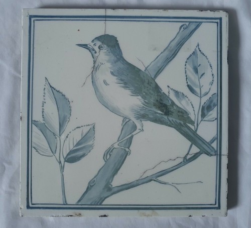 Charming minton bird design - bird,