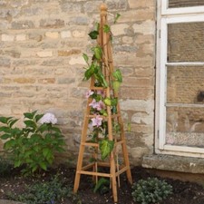 Wooden garden obelisk - garden,