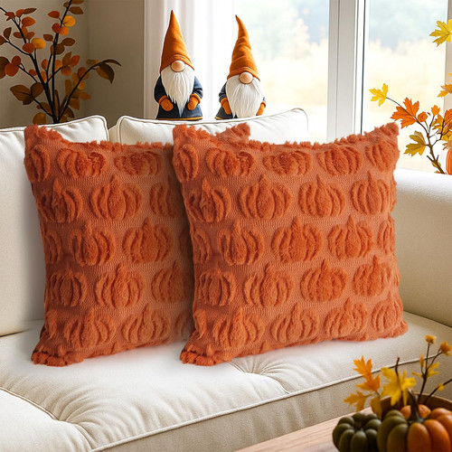 Throw pillow covers - throw,