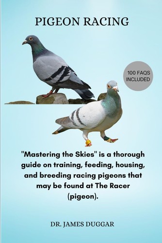 James duggar pigeon - james,