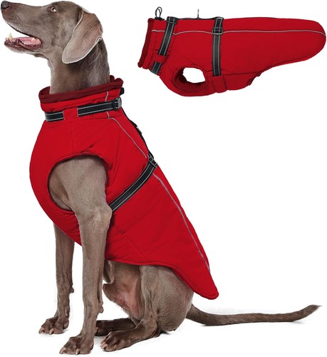 Dog jacket with - dog,