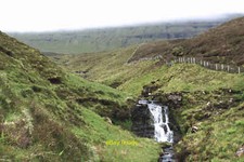 Photo 12x8 Succession of