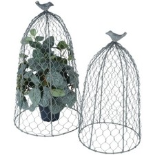 Chicken Wire Cloche Garden