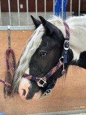 Braided Headcollar Lead Rope