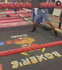 floor boxing ring MMA Kickboxing Floor Ring