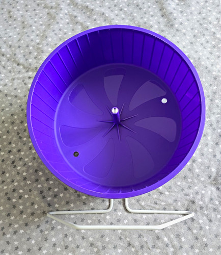 12inch purple plastic exercise - purple,