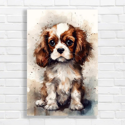 Adorable cavalier king - adorable,