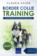 Border Collie Training: Dog