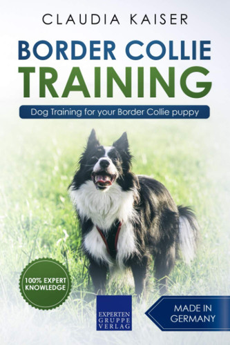 Border collie training dog - border, training: