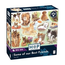 House of Puzzles Some of our