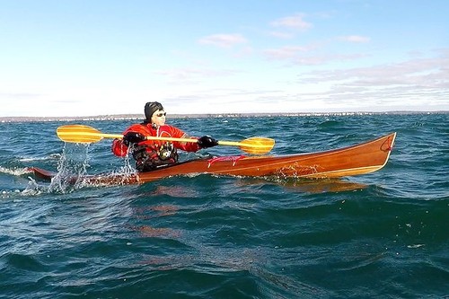 Petrel play cedar strip - petrel,