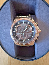 Citizen Men's Eco Drive Radio