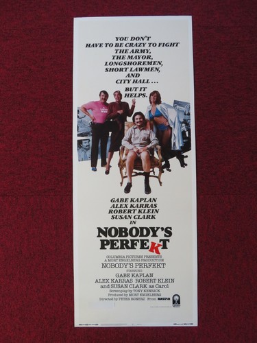 Nobody perfekt insert - perfekt,