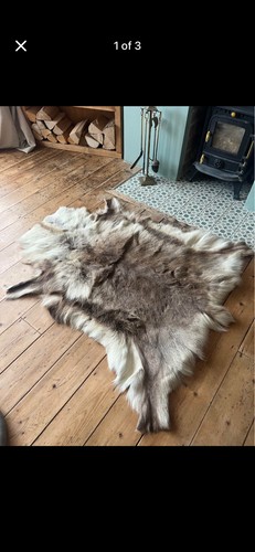 Reindeer hide rug - reindeer,