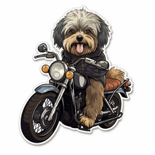 Havanese Car Sticker Dog