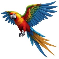 MULTICOLOUR PARROT Sticker Car