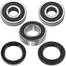 Rear Wheel Ball Bearings Seals