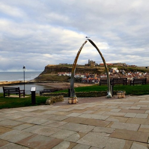 Photo 12x8 whalebone arch - 12x8,