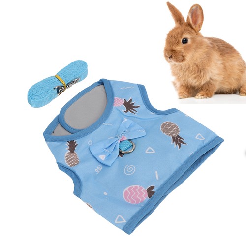 Guinea pig traction - pig,