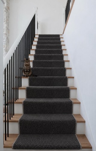 Stair runner 60cm dark - stair,