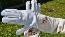 SALE Professional Beekeeping
