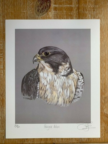 Prints signed artist - prints, j