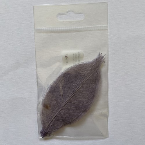Pack skeleton leaves 2 - 25, 2”