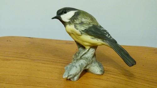 Kaiser great tit - tit, german