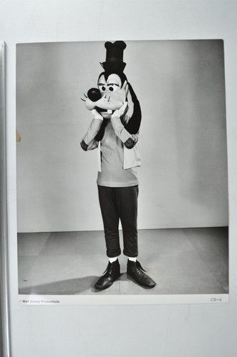 Goofy costume character walt - goofy,