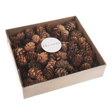 Box of 100 x Small Natural