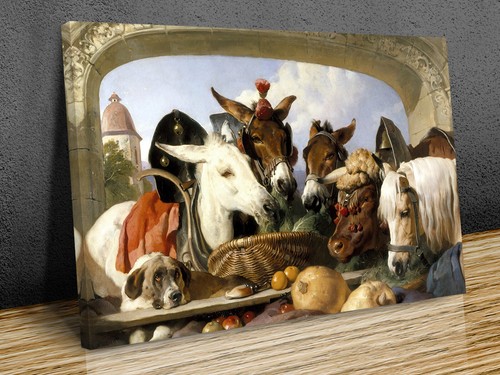 Group animals edwin - a,