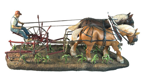 Danbury mint tending the crops - tending,
