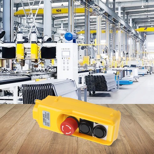 Electric hoist switch 220v - hoist,