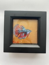 OOAK Male Betta Fish - 7.5cm x
