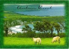 Antrim Coast Ireland Postcard