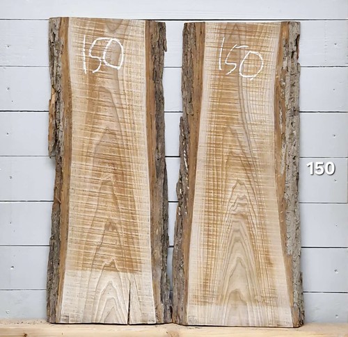 Elm live edge timber 840mm - elm,