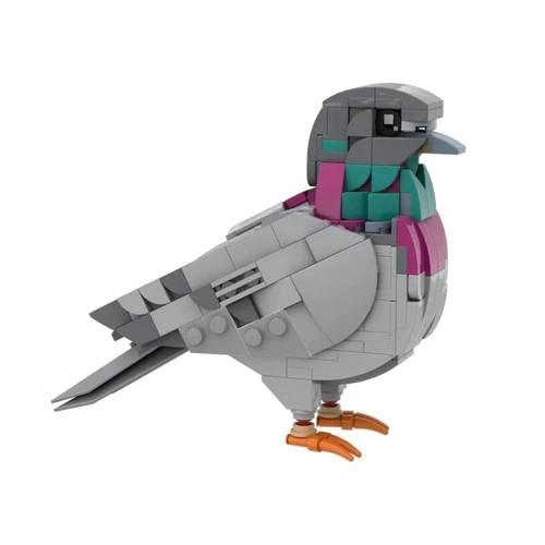 Feral pigeon building - building, blocks
