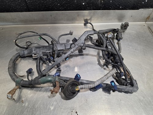 Honda civic ep3 - honda,