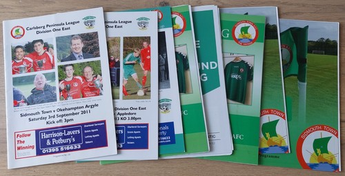 Sidmouth town home - 8,