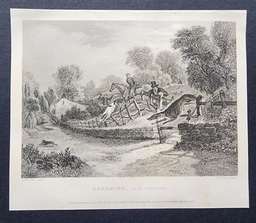 Antique 1840 print - antique, hare