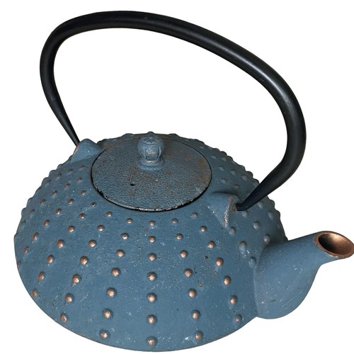 Japanese cast iron teapot - iron,
