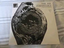 The Joy Formidable - A