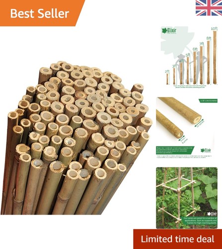 Strong heavy duty professional - strong,