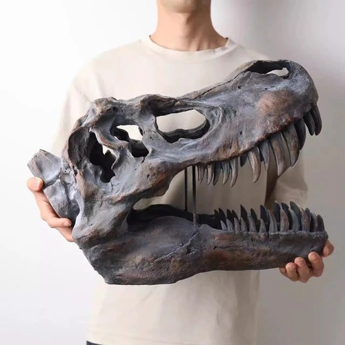 Tyrannosaurus rex skull - tyrannosaurus,
